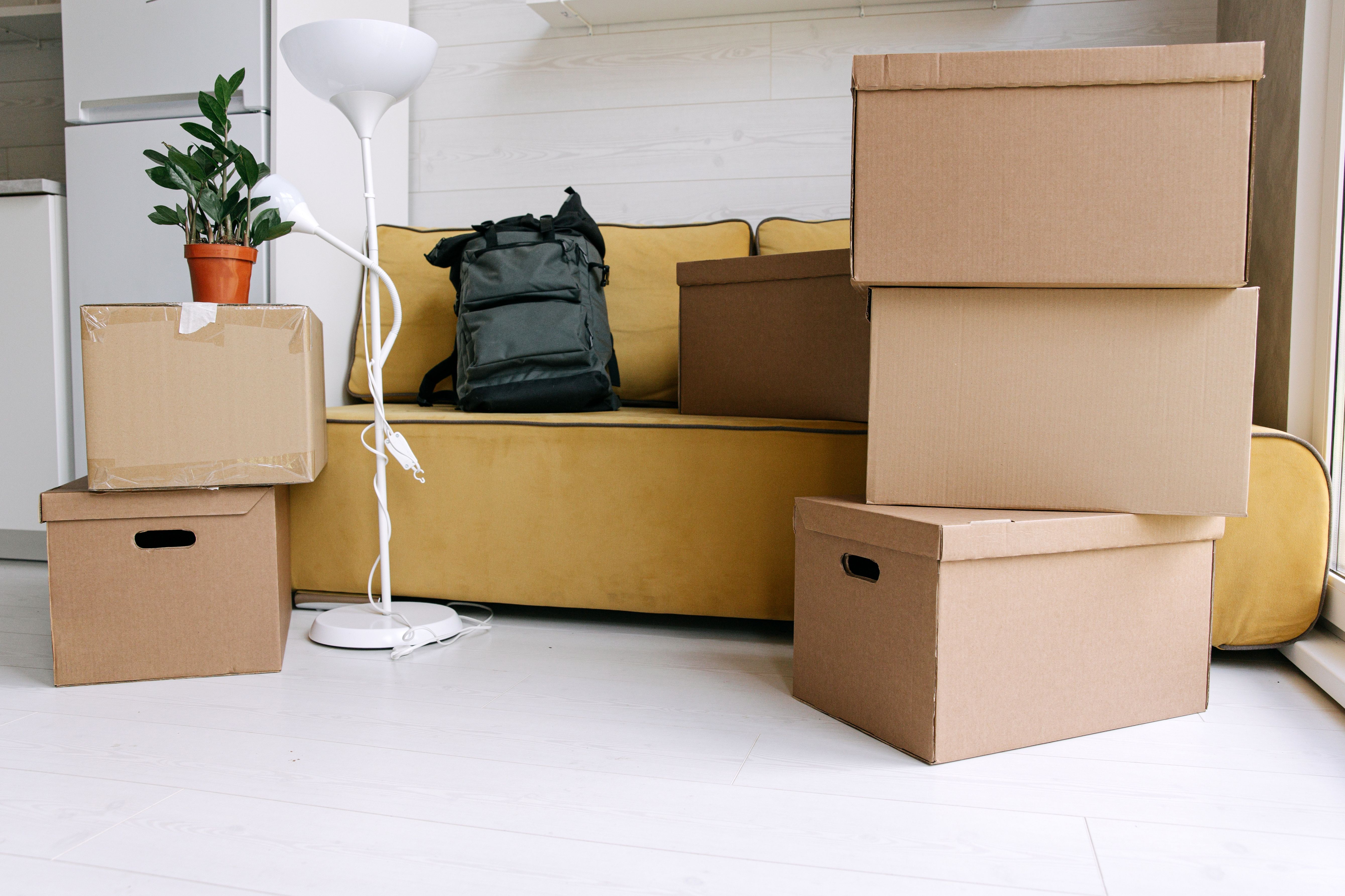 Rental occupied with moving boxes on the floor, a bag on the yellow couch and a white floorlamp in front of the couch.jpg